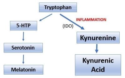 Anxiety, Depression, and Insomnia: Treatment Using the Hippocratic Philosophy