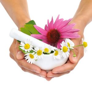 10682384 - young  woman holding mortar with herbs - echinacea, ginkgo, chamomile
