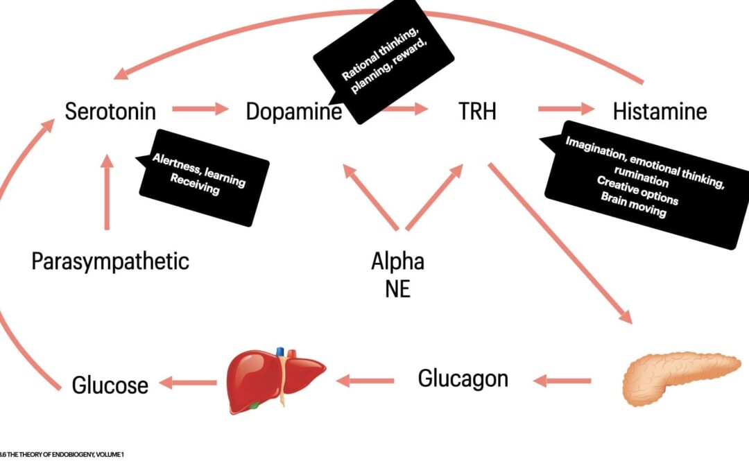 Metabolizing Grief: A Physiologic Theory of Emotional Digestion