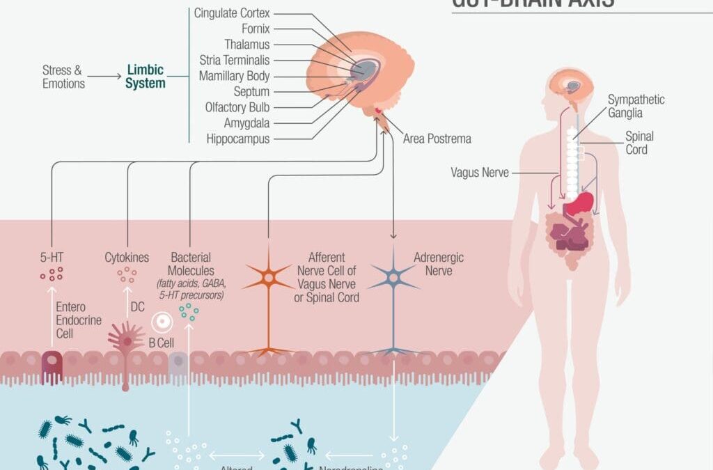 Migraine & the Microbiome