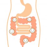 Immune Function & Competence: Gut Microbial Influences