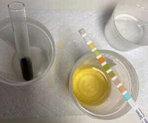 Notes from the Field: April, 2021