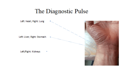 Notes from the Field: June, 2021