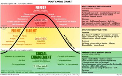 Fight, Flight, or Freeze&nbsp;