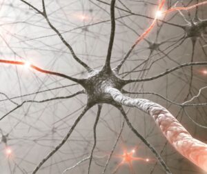 Faster Nerve Regeneration 