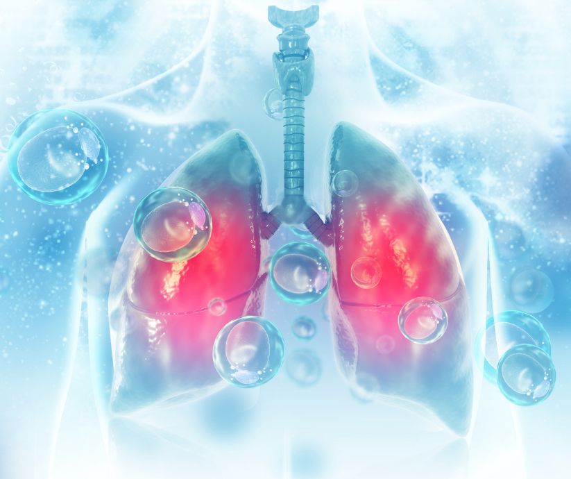 graphic of lungs