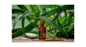 Aloe Vera as Antimicrobial 