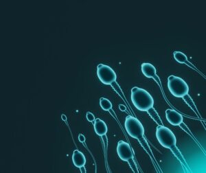 The Effect of Stress on Sperm 