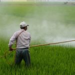 Farmer spraying crops