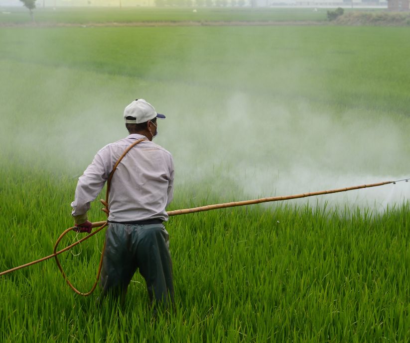 Farmer spraying crops