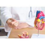 Metal Exposure Significantly Raises Cardiovascular Disease Risk