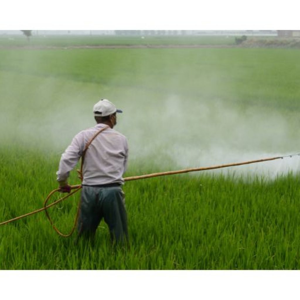 Man spraying pesticides