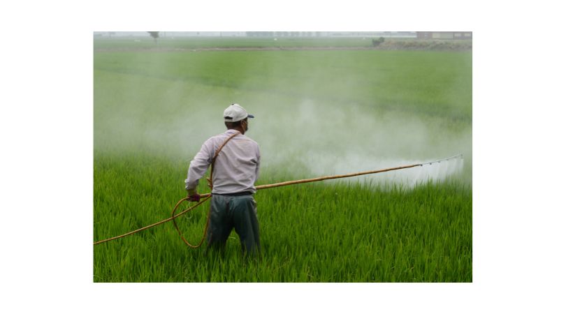 Man spraying pesticides