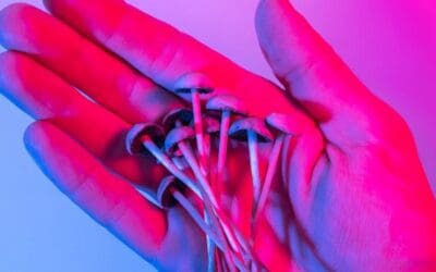 Psilocybin’s Therapeutic Pathway