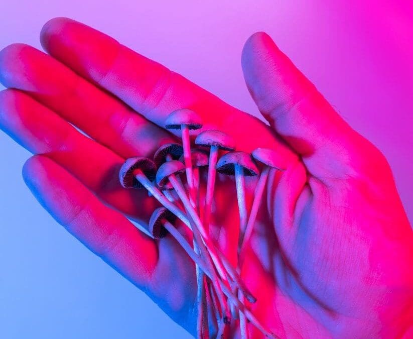 Psilocybin’s Therapeutic Pathway