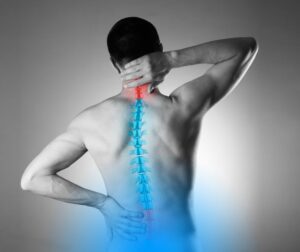 Neural Stem Cells Repair Chronic Spinal Cord Injuries in Five-Year Study