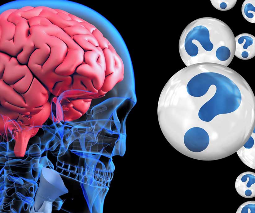 Human brain and question bubbles