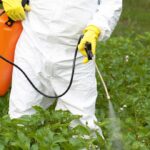 worker in hazmat suit spraying crops with glysophate