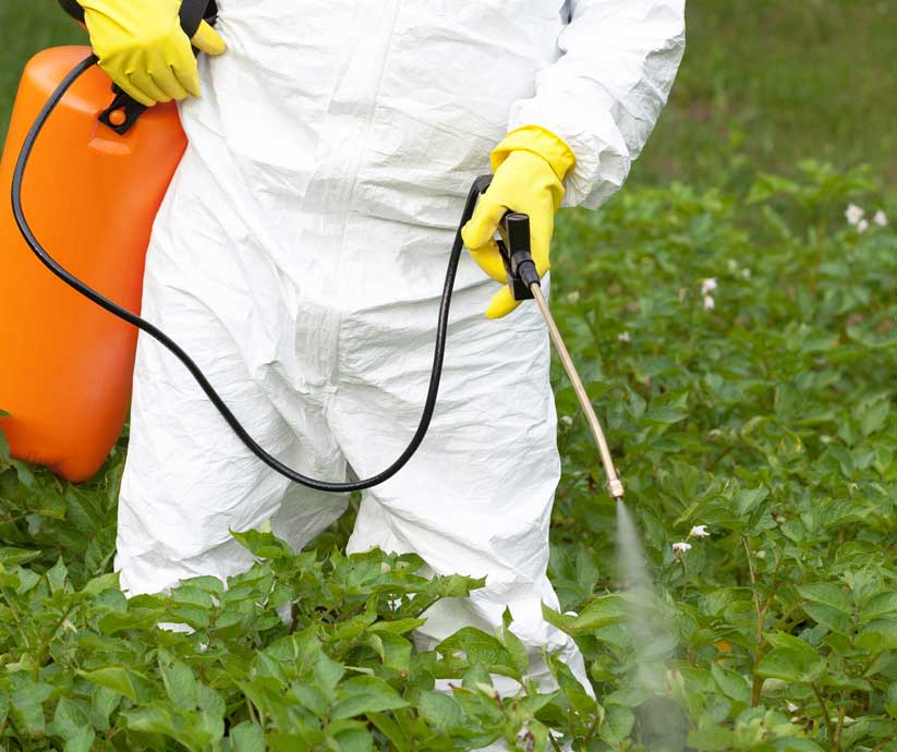 worker in hazmat suit spraying crops with glysophate