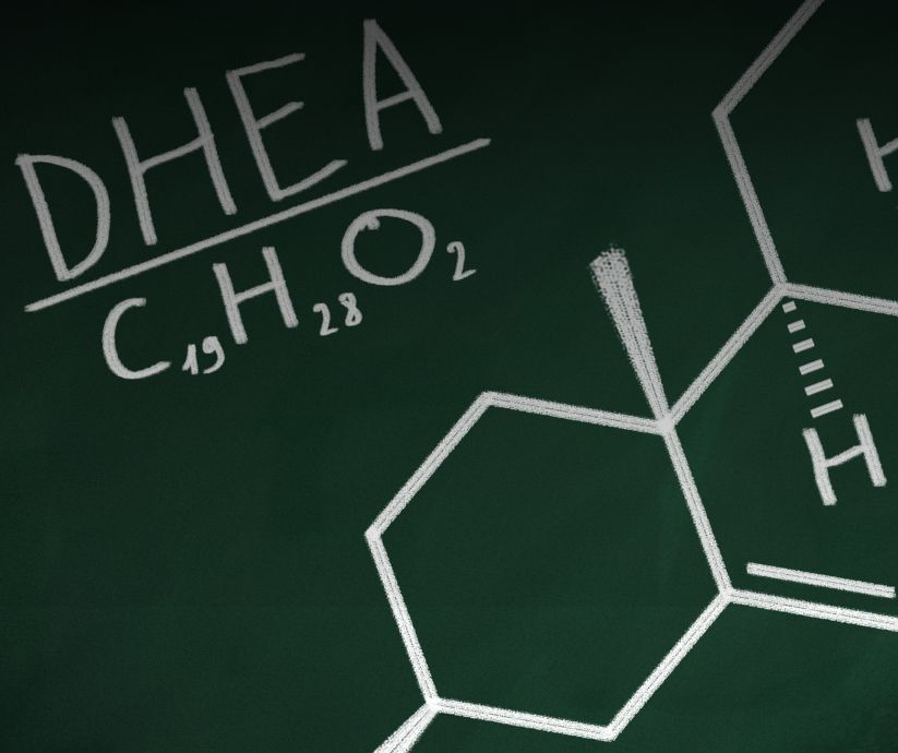 DHEA men's health