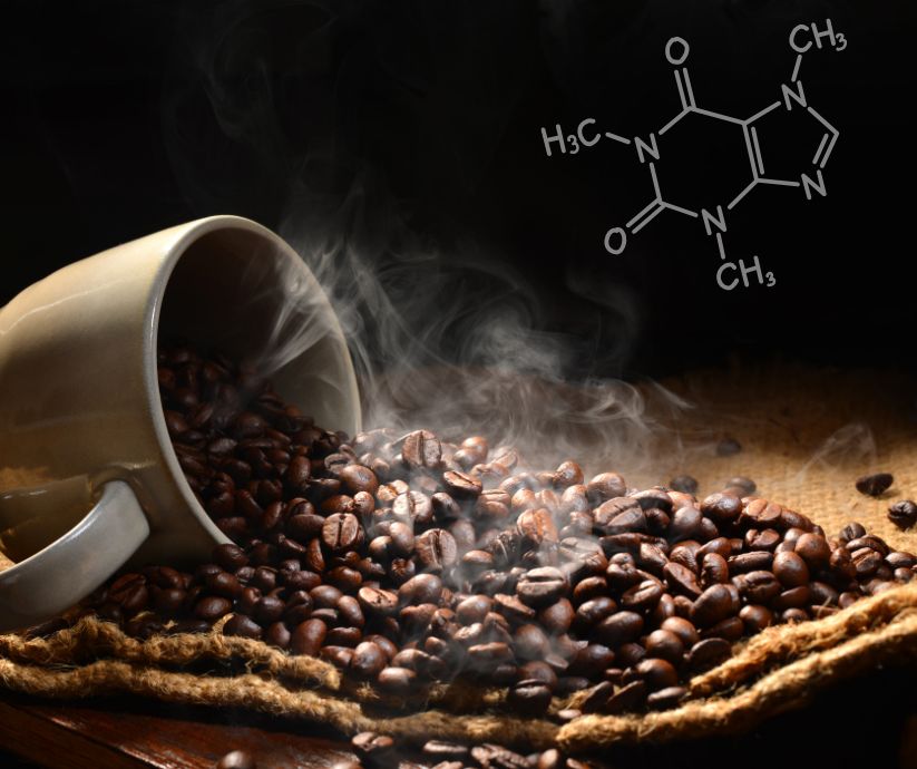 Caffeine and L-Theanine in ADHD