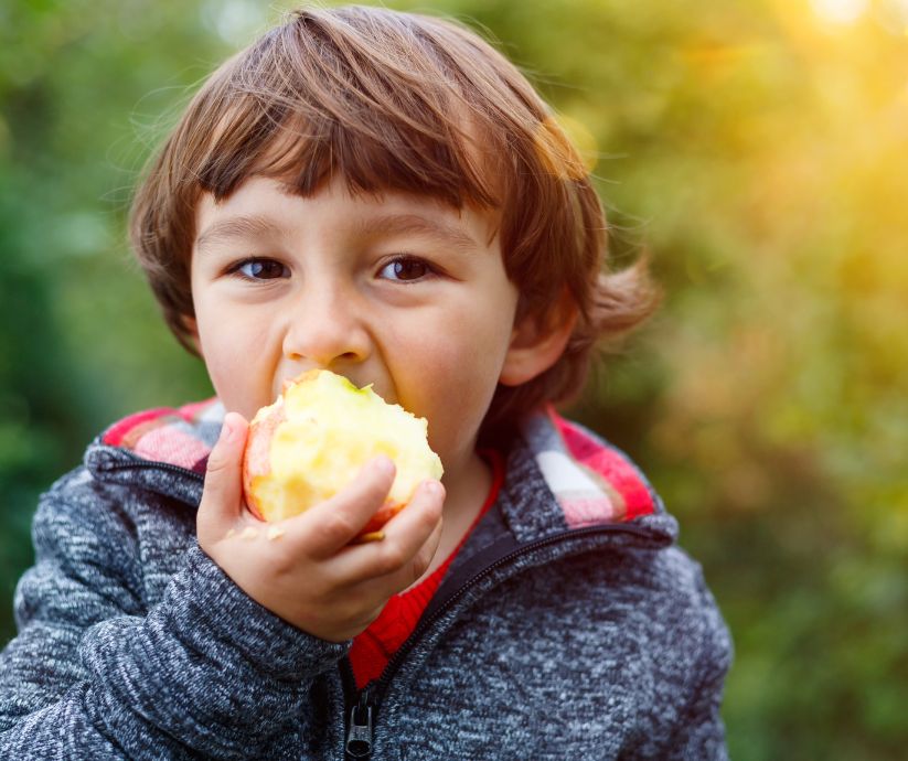 Undernourished children have weaker immune responses to vaccines, showing how nutrition builds stronger immunity against diseases.