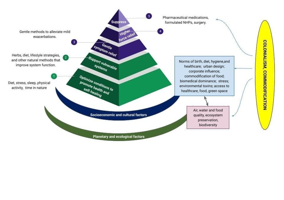 Children in the Crossfire: Justice, Environment, and Pediatric Health Outcomes
