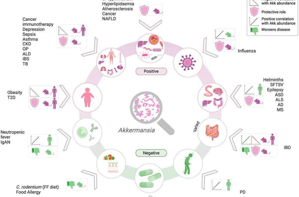 Akkermansia muciniphila: Clinical Insights on a Next-Generation Probiotic