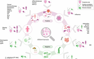 Akkermansia muciniphila: Clinical Insights on a Next-Generation Probiotic