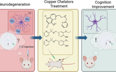 Brazilian Copper Chelation Study Puts Numbers Behind What We’ve Been Testing For