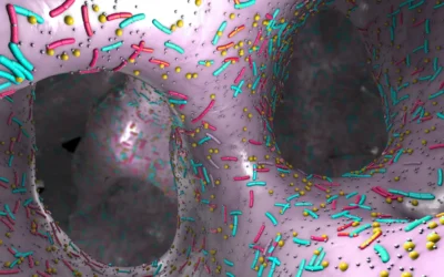 The Role of Histamine and Serotonin in Upper GI Motility: Clinical Insights from Three Case Reviews