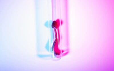 The Current Status of Psilocybin Research: Depression, Anxiety & Trauma