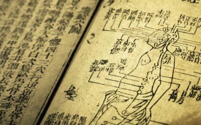 Integrative Restoration of Fascia Integrity: Tabasheer and Bu Zhong Yi Qi Tang