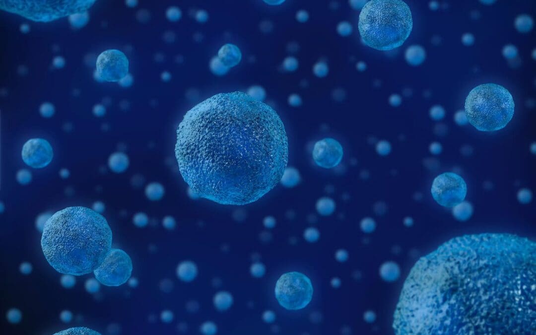 Clinically Proven Natural Support for Autoimmune Rheumatic Conditions