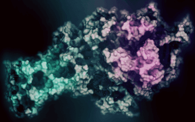 Targeting Mitochondrial Function for Upstream Steroidogenesis and Adrenal Health
