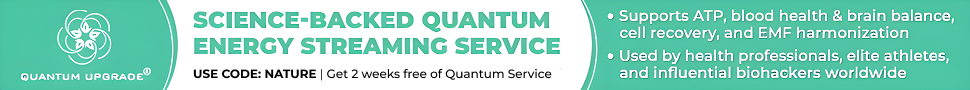Quantum Upgrade Banner