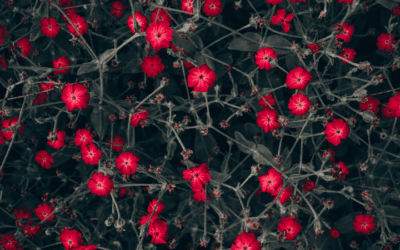 Approaching Idiopathic Neuropathy: A Naturopathic Strategy Beyond Diabetes