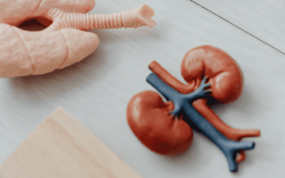 A Somatic Approach to Stage 5 Chronic Kidney Disease: Unbinding Fear and Grief from the Renal System