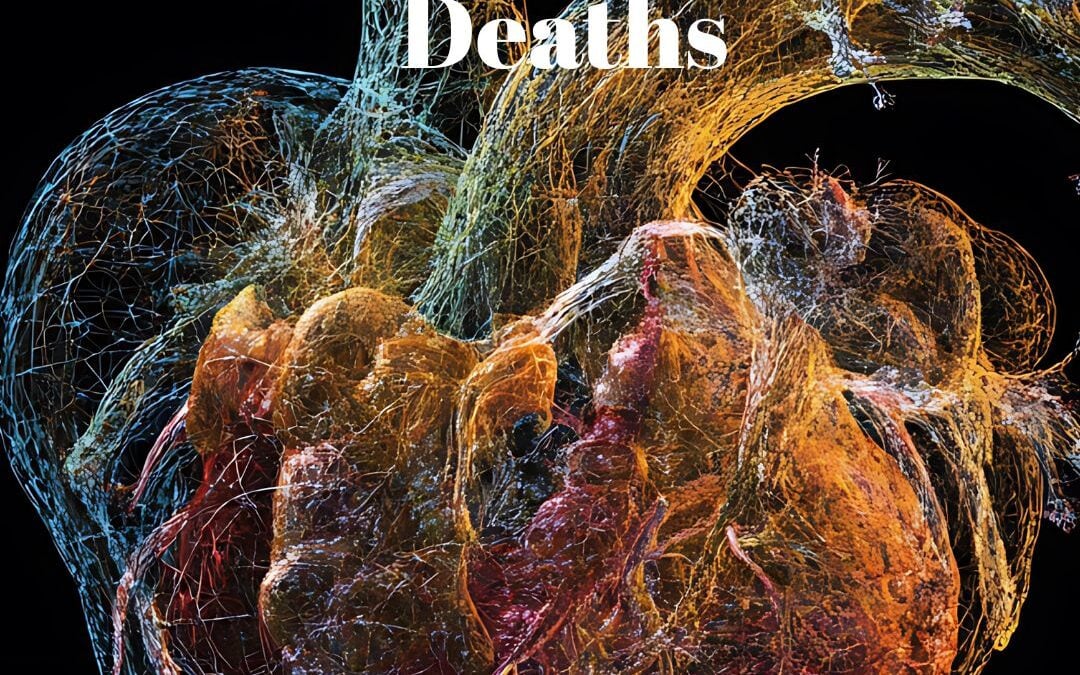 Environmental Stressors Now Cause 1 in 5 Cardiovascular Deaths