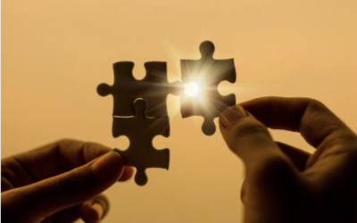 Three Endocrine Axes Share One Energy Budget for Stress Resilience