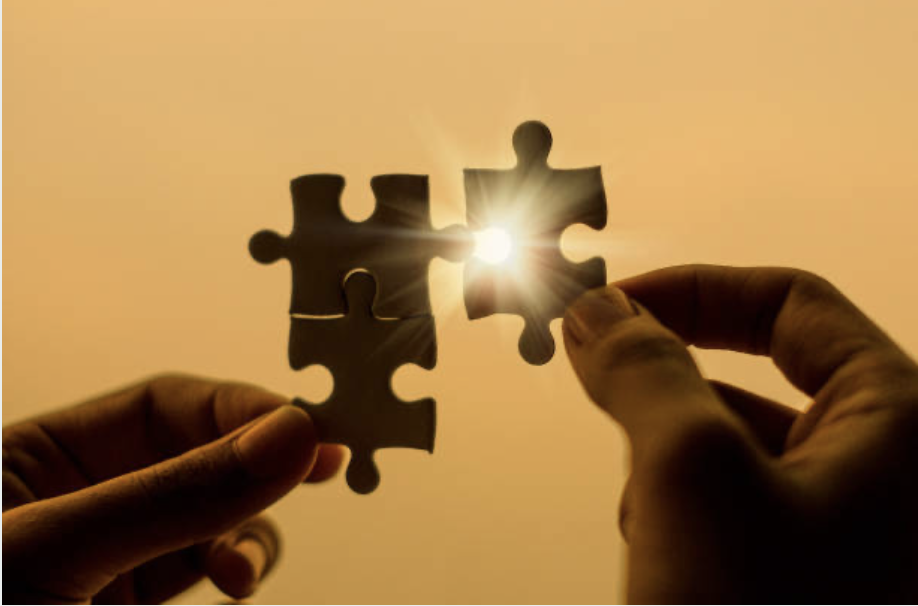 Three Endocrine Axes Share One Energy Budget for Stress Resilience