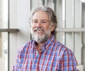 Quantum Energy Effects on Cell Recovery Rates