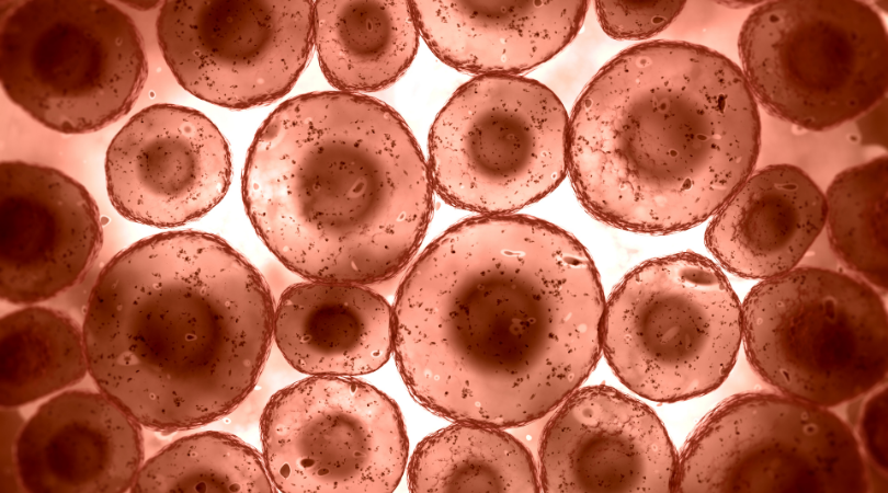 Cover art for wordpress (19)