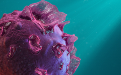 Epstein–Barr Virus (EBV) as a Contributor to Myalgic Encephalomyelitis/Chronic Fatigue Syndrome (ME/CFS)