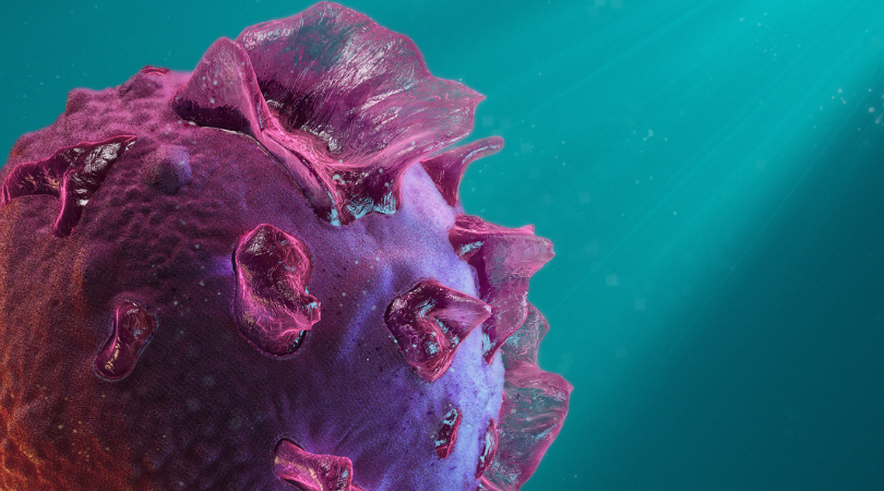 Cover art for wordpress (20)