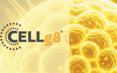 Increased Intracellular NAD+ Levels via Oral Supplementation With a Novel Liposomal Delivery Method: A Non-Randomized Crossover Study