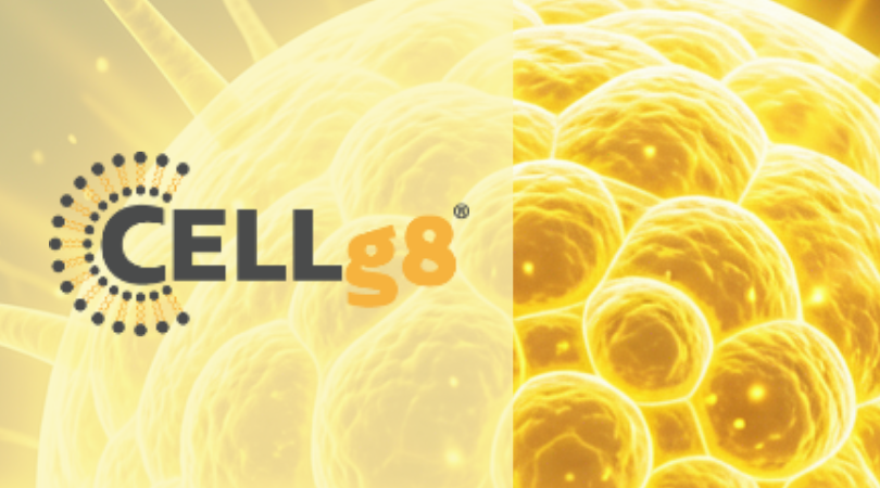 Cover art for wordpress (22)