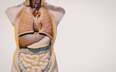 East Meets West: A Springtime Approach to Liver Detoxification