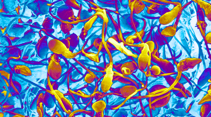 The Silent Male Infertility Epidemic: How Men Can Protect & Restore Their Fertility