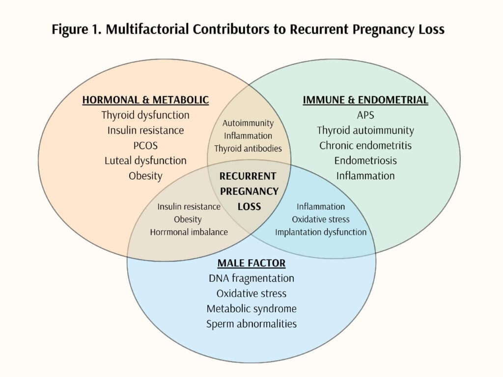 figure-1-multifactorial-contributors-to-recurrent-prenancy-loss